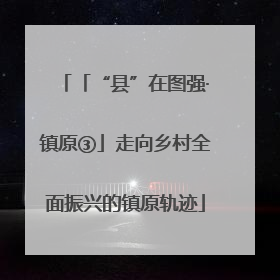 「“县”在图强·镇原③」走向乡村全面振兴的镇原轨迹