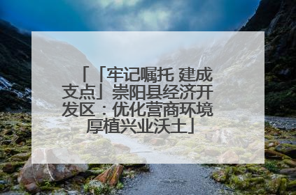 「牢记嘱托 建成支点」崇阳县经济开发区：优化营商环境 厚植兴业沃土