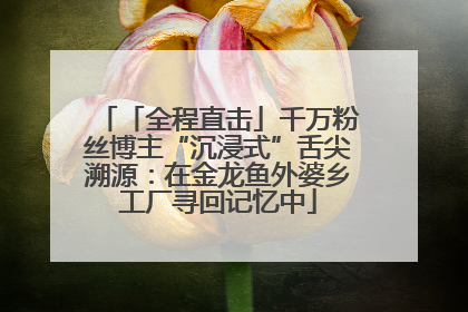 「全程直击」千万粉丝博主“沉浸式”舌尖溯源：在金龙鱼外婆乡工厂寻回记忆中