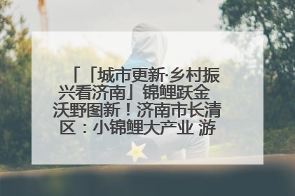 「城市更新·乡村振兴看济南」锦鲤跃金 沃野图新！济南市长清区：小锦鲤大产业 游出农旅新风景