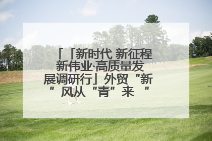 「新时代 新征程 新伟业·高质量发展调研行」外贸“新”风从“青”来 “双向奔赴”启新程