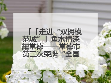 「走进“双拥模范城”」鱼水情深耀常德——常德市第三次荣膺“全国双拥模范城”