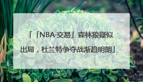 「NBA·交易」森林狼疑似出局，杜兰特争夺战渐趋明朗
