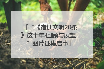 “《宿迁文明20条》这十年·回顾与展望”图片征集启事