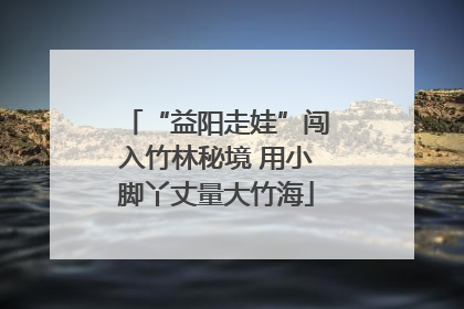 “益阳走娃”闯入竹林秘境 用小脚丫丈量大竹海