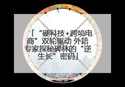 “硬科技+跨境电商”双轮驱动 外籍专家探秘碑林的“逆生长”密码