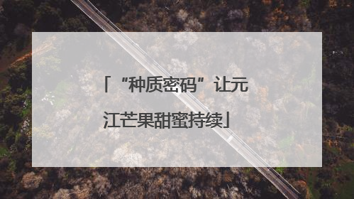 “种质密码”让元江芒果甜蜜持续