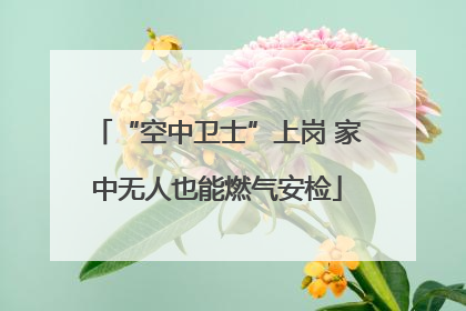 “空中卫士”上岗 家中无人也能燃气安检