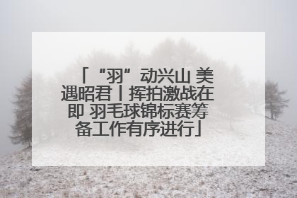 “羽”动兴山 美遇昭君丨挥拍激战在即 羽毛球锦标赛筹备工作有序进行