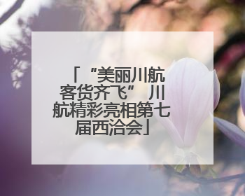 “美丽川航 客货齐飞” 川航精彩亮相第七届西洽会