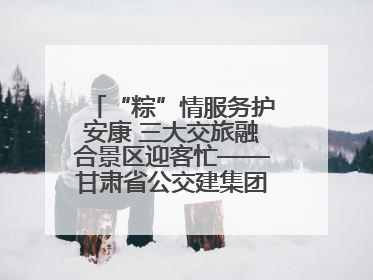 “粽”情服务护安康 三大交旅融合景区迎客忙——甘肃省公交建集团全力做好端午假期景区运营工作