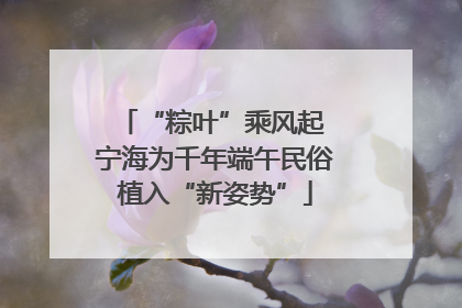 “粽叶”乘风起 宁海为千年端午民俗植入“新姿势”