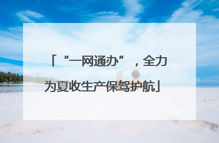 “一网通办”，全力为夏收生产保驾护航