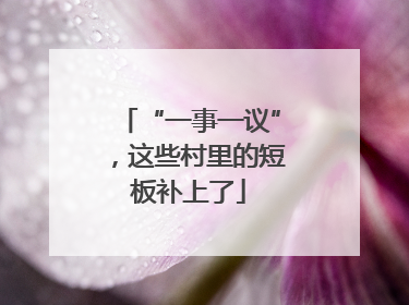 “一事一议”，这些村里的短板补上了