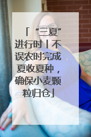 “三夏”进行时丨不误农时完成夏收夏种，确保小麦颗粒归仓