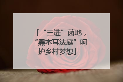 “三进”菌地，“黑木耳法庭”呵护乡村梦想