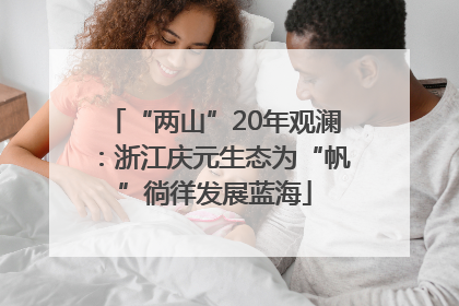 “两山”20年观澜：浙江庆元生态为“帆”徜徉发展蓝海