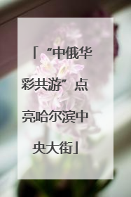 “中俄华彩共游”点亮哈尔滨中央大街