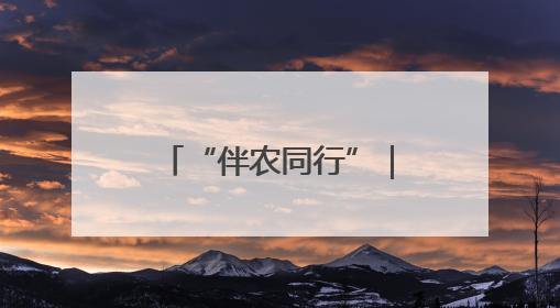 “伴农同行”｜山东农担公司助力菏泽巨野蛋鸡产业高质量发展