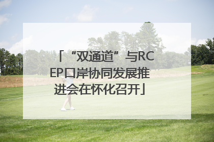 “双通道”与RCEP口岸协同发展推进会在怀化召开
