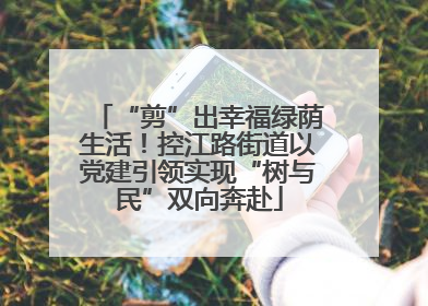 “剪”出幸福绿荫生活！控江路街道以党建引领实现“树与民”双向奔赴