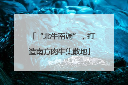 “北牛南调”，打造南方肉牛集散地