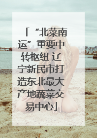 “北菜南运”重要中转枢纽 辽宁新民市打造东北最大产地蔬菜交易中心