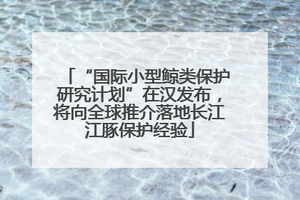 “国际小型鲸类保护研究计划”在汉发布，将向全球推介落地长江江豚保护经验