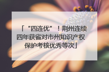 “四连优”！荆州连续四年获省对市州知识产权保护考核优秀等次
