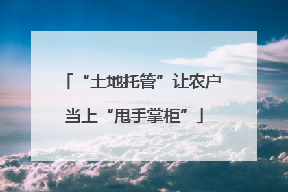 “土地托管”让农户当上“甩手掌柜”