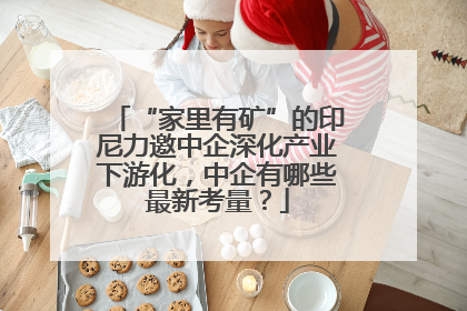 “家里有矿”的印尼力邀中企深化产业下游化，中企有哪些最新考量？