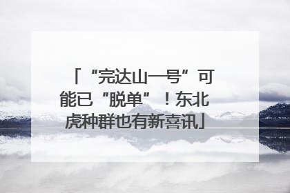 “完达山一号”可能已“脱单”!东北虎种群也有新喜讯