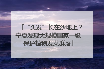 “头发”长在沙地上？宁夏发现大规模国家一级保护植物发菜群落