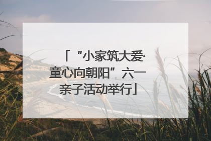 “小家筑大爱·童心向朝阳”六一亲子活动举行