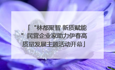 “林都聚智 新质赋能”民营企业家助力伊春高质量发展主题活动开幕