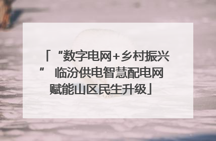“数字电网+乡村振兴” 临汾供电智慧配电网赋能山区民生升级