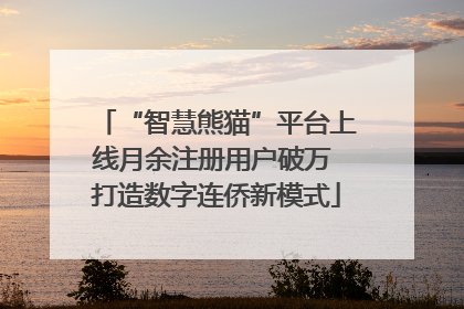 “智慧熊猫”平台上线月余注册用户破万 打造数字连侨新模式