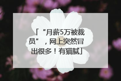 “月薪5万被裁员”，网上突然冒出很多！有猫腻