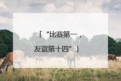 “比赛第一，友谊第十四”