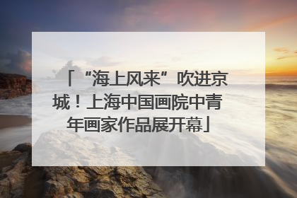 “海上风来”吹进京城！上海中国画院中青年画家作品展开幕