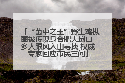 “菌中之王”野生鸡枞菌被传现身合肥大蜀山 多人跟风入山寻找 权威专家回应市民三问