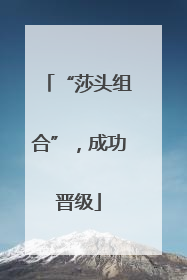 “莎头组合”，成功晋级