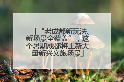 “老成都新玩法、新场景全覆盖”，这个暑期成都将上新大量新兴文旅场景