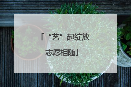 “艺”起绽放 志愿相随