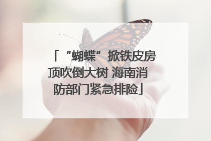 “蝴蝶”掀铁皮房顶吹倒大树 海南消防部门紧急排险