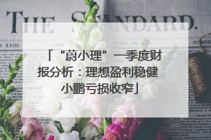“蔚小理”一季度财报分析：理想盈利稳健 小鹏亏损收窄