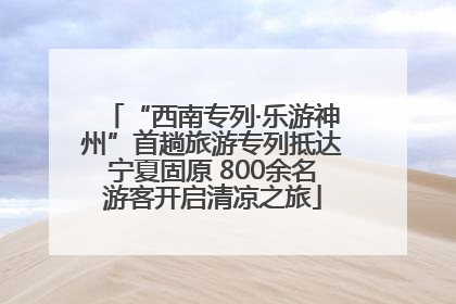 “西南专列·乐游神州”首趟旅游专列抵达宁夏固原 800余名游客开启清凉之旅