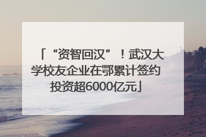 “资智回汉”！武汉大学校友企业在鄂累计签约投资超6000亿元