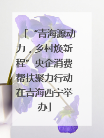 “青海源动力，乡村焕新程”央企消费帮扶聚力行动在青海西宁举办
