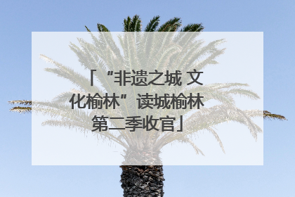 “非遗之城 文化榆林”读城榆林第二季收官